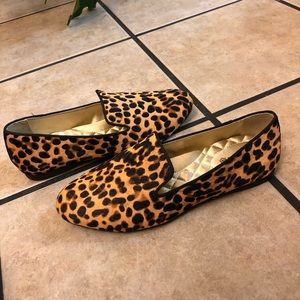 birdies starling cheetah